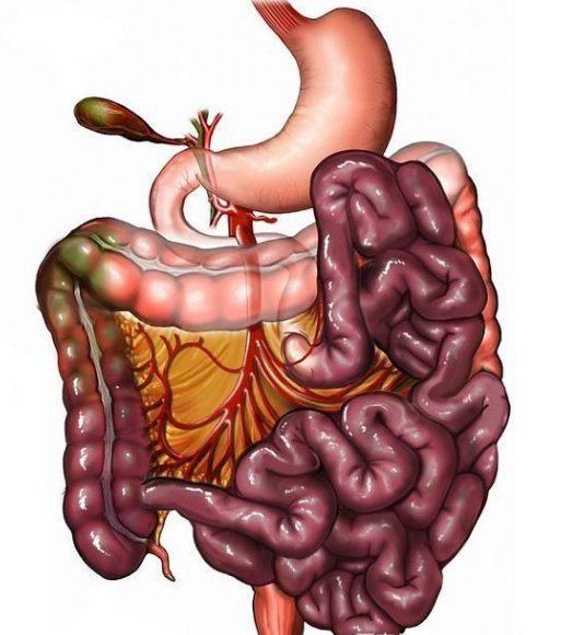腸息肉者，排便出現(xiàn)3個(gè)異常，十有八九息肉已變成“癌”